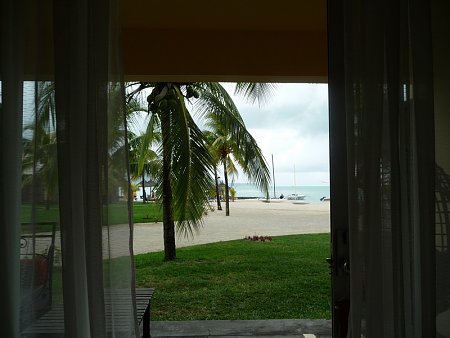 Kattints a k�pre a nagy�t�shoz

C�m:  P1010346.JPG
Megn�zt�k: 745
M�ret:  152,7 KB
Azonos�t�:  456