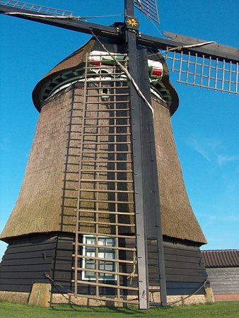 Kattints a k�pre a nagy�t�shoz

C�m:  hollandia201005084.JPG
Megn�zt�k: 1990
M�ret:  121,3 KB
Azonos�t�:  486