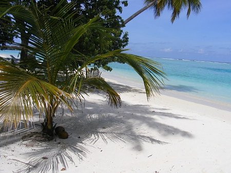 Kattints a kpre a nagytshoz

Cm:  Maldv-szigetek.jpg
Megnztk: 2153
Mret:  102,1 KB
Azonost:  830