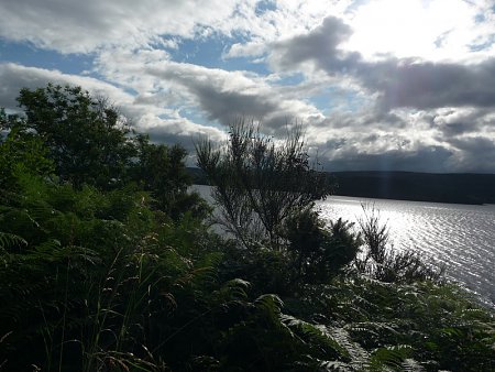Kattints a kpre a nagytshoz

Cm:  Loch Ness.JPG
Megnztk: 987
Mret:  201,5 KB
Azonost:  997