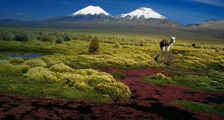 Kattints a kpre a nagytshoz

Cm:  Sajama Nemzeti Park - Parinacota s Pomerape.jpg
Megnztk: 1829
Mret:  80,0 KB
Azonost:  450