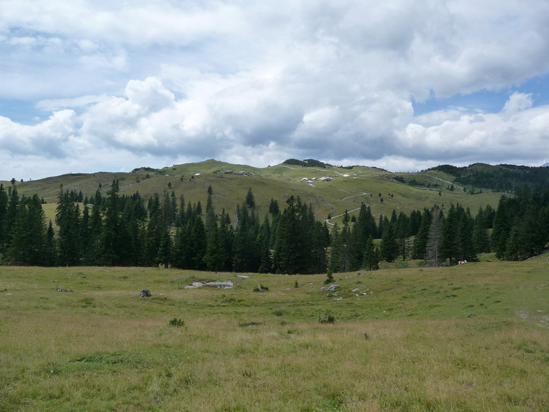 Kil�t�s feny�f�kkal