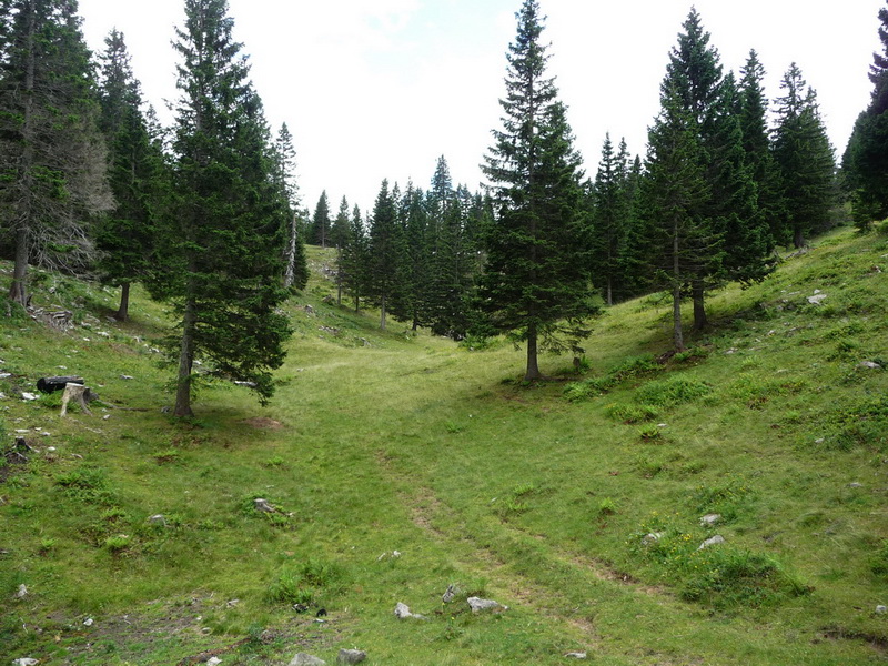 F�lig nyitott v�lgyecske