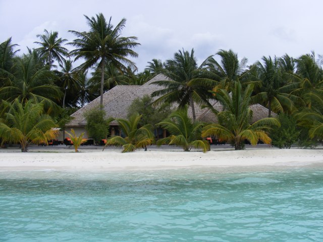 DSCF2635