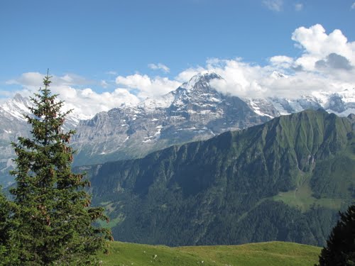 Sv�jc, a Jungfrau csoport a Schynigeplatte-r�l, SzG3