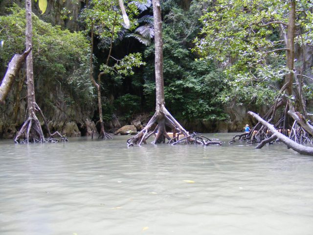 DSCF4064