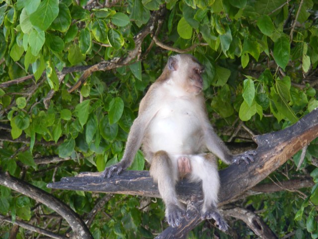 DSCF3857