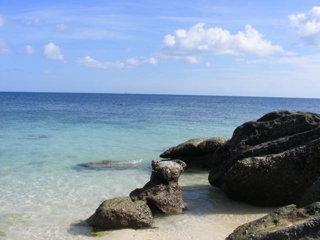 DSCF3870