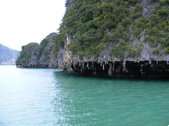 DSCF3983