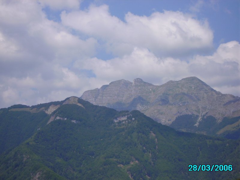 HEGYEK
HA JOBBAN MEGN�ZED EGY ELEF�NT FEJE MUTATKOZIK