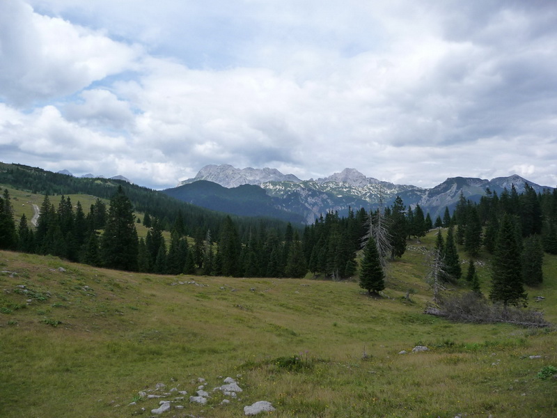 Kamniki-Alpok cscsai