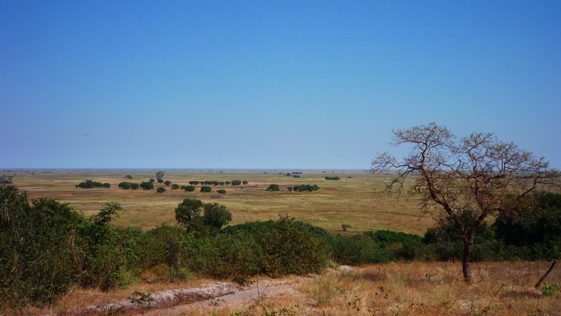 P1020979