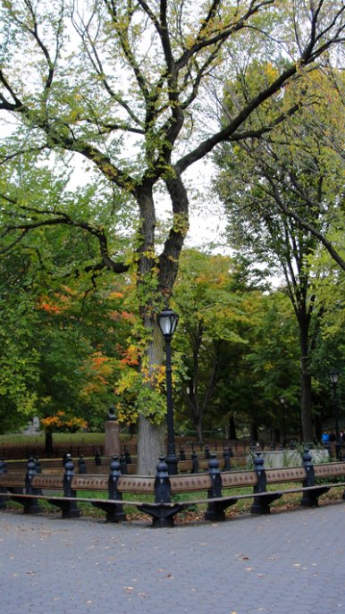 Central parki pillanatok ősszel.